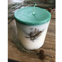 Load image into Gallery viewer, WINTER PINE Pine Tree & Spice Candle