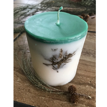 Load image into Gallery viewer, WINTER PINE Pine Tree &amp; Spice Candle
